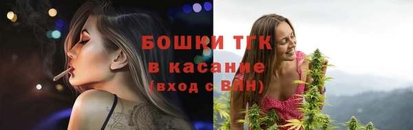 стаф Бородино