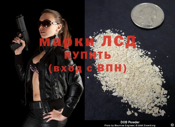 стаф Бородино