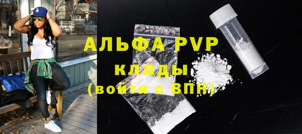 стаф Бородино
